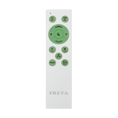Потолочный светодиодный светильник Freya - FR10011CL-L24W