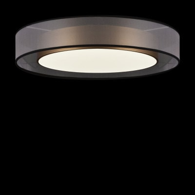 Потолочный светодиодный светильник Freya Zoticus FR6005CL-L48G 