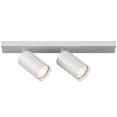 Спот Maytoni FOCUS S C051CL-2W