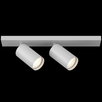 Спот Maytoni FOCUS S C051CL-2W