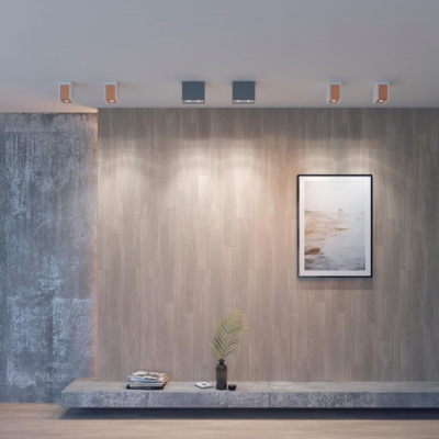 Накладной светильник NOVOTECH LEGIO 370505