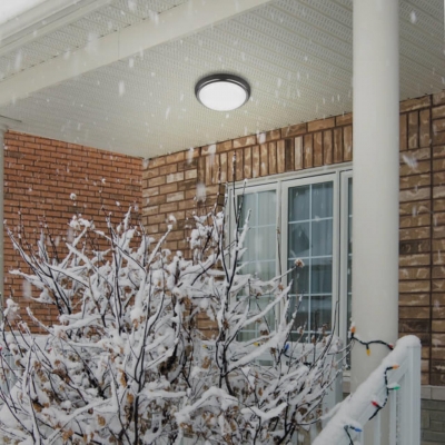 Потолочный уличный светильник NOVOTECH OPAL 357507 Потолочный уличный светильник NOVOTECH OPAL 357507