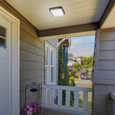 Потолочный уличный светильник NOVOTECH OPAL 357509