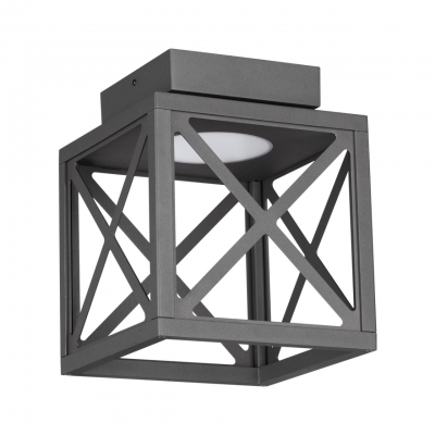 Потолочный уличный светильник NOVOTECH DANTELA 358449