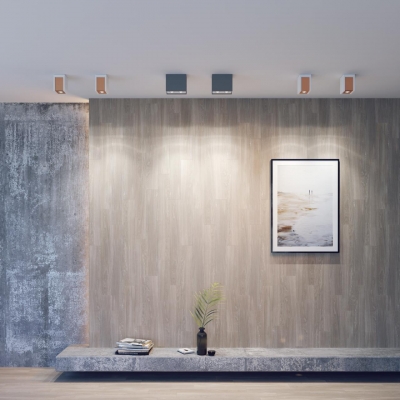 Накладной светильник NOVOTECH LEGIO 370499