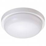 Потолочный уличный светильник NOVOTECH OPAL 358016