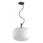 Светильник ODEON LIGHT ROOFI 4754/1