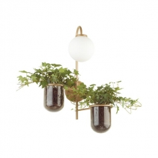 Бра ODEON LIGHT FLOWER 4682/1W