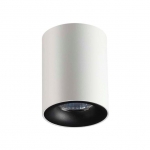 Накладной светильник ODEON LIGHT TUBORINO 3569/1C