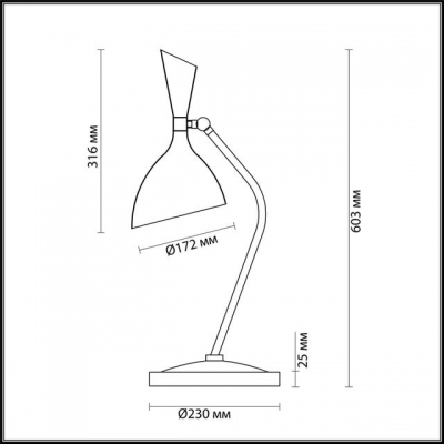 Настольная лампа ODEON LIGHT RASTO 4665/1T