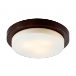 Потолочный светильник ODEON LIGHT HOLGER 2744/3C