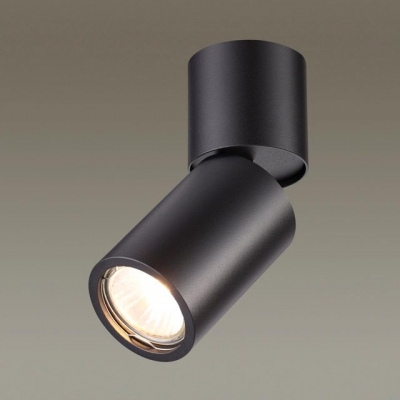 Накладной светильник ODEON LIGHT DUETTA 3896/1C