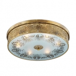 Люстра потолочная ODEON LIGHT ASTER 2782/6C