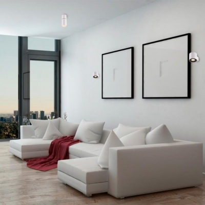 Накладной светильник ODEON LIGHT DUETTA 3582/1C