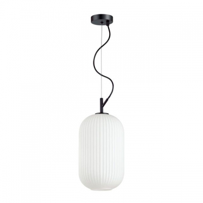 Светильник ODEON LIGHT ROOFI 4751/1