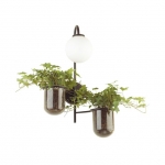 Бра ODEON LIGHT FLOWER 4681/1W
