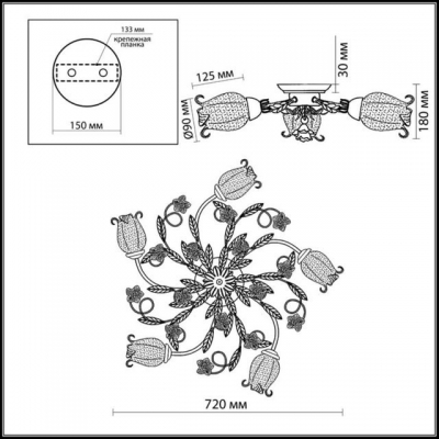 Люстра потолочная ODEON LIGHT AMELI 2252/5C