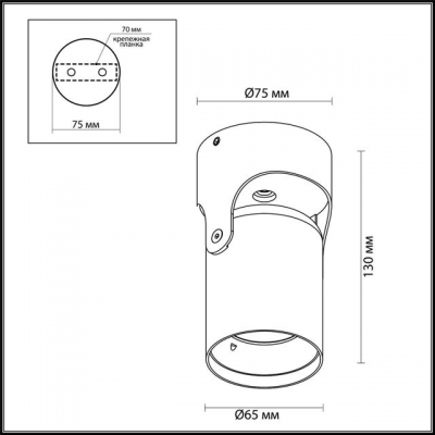 Накладной светильник ODEON LIGHT CORSUS 3855/1C