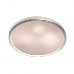 Потолочный светильник ODEON LIGHT YUN 2177/3C