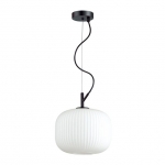 Светильник ODEON LIGHT ROOFI 4753/1