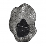 Бра Odeon light CORALLA 5461/12WL