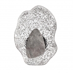 Бра Odeon light CORALLA 5461/12WLB