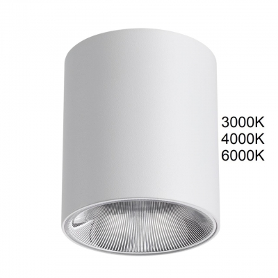 Накладной светильник Odeon light BRIM 7139/12CL