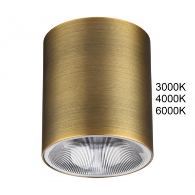 Накладной светильник Odeon light BRIM 7137/12CL