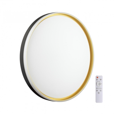 Потолочный светильник SAVI 7619/DL