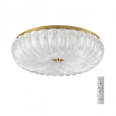 Потолочный светильник SONEX TESORO 7719/60L