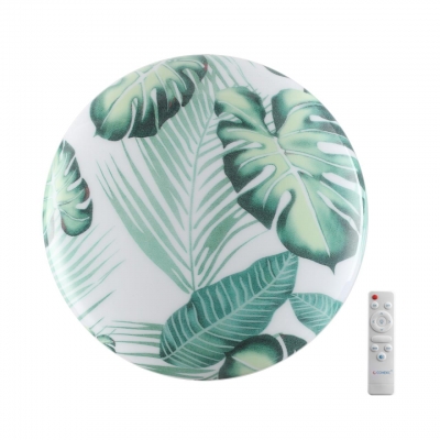 Потолочный светильник SONEX FLORI 7748/DL