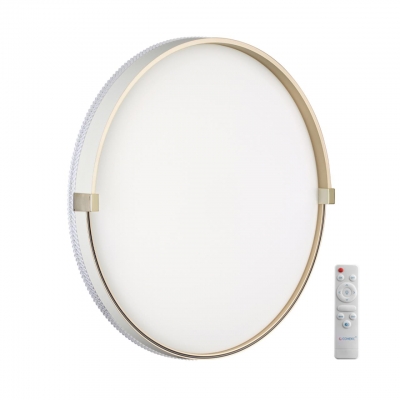 Потолочный светильник OLIDI WHITE 7646/EL