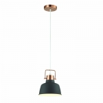 Светильник Odeon Light SERT 3325/1